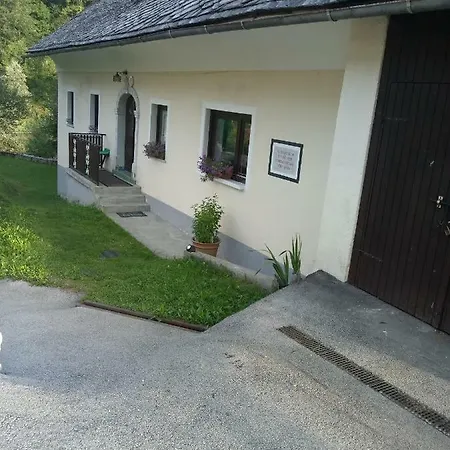 Mlinarjeva Hisa Na Zalem Logu Hébergement de vacances Zelezniki