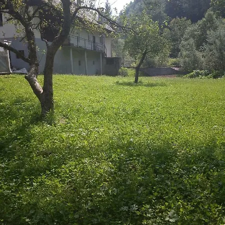 Mlinarjeva Hisa Na Zalem Logu Zelezniki